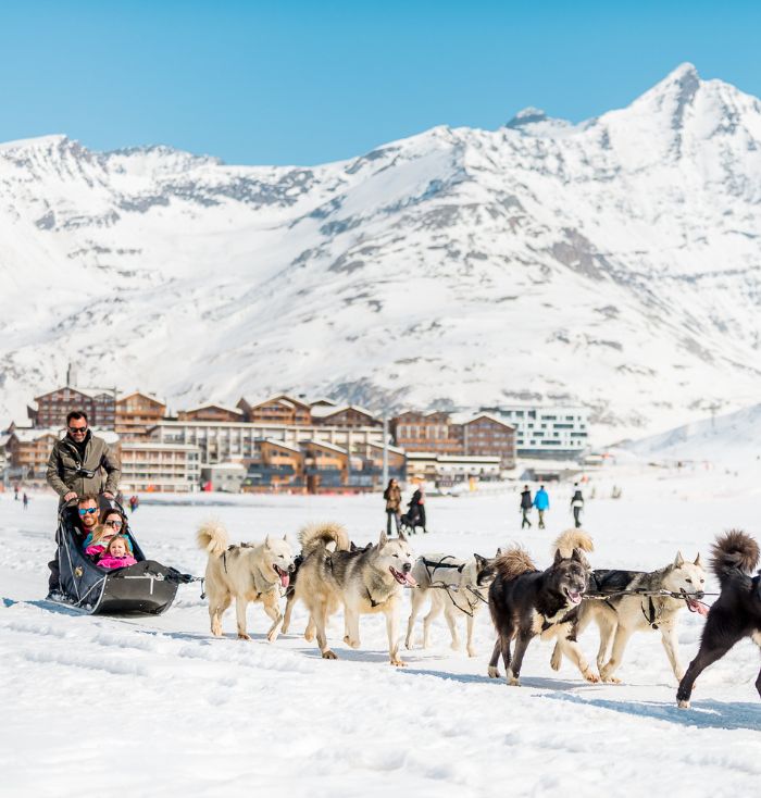 chiens de traineaux famille